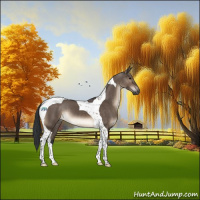Horse Color:Brown Dun Tobiano 