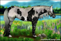 Horse Color:Void Watercolor Plaid  Liver Red Dun Onyx Splash Tobiano 