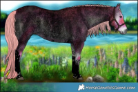 Horse Color:Void Watercolor Liver Red Onyx Roan Tobiano Rabicano 