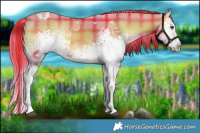 Horse Color:Watercolor Plaid  White Spotted Liver Red Onyx 