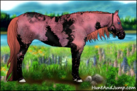 Horse Color:Void Watercolor Liver Red Dun Splash Tobiano Rabicano 