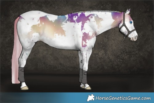 Horse Color:Watercolor White Spotted Liver Red Onyx Splash Tobiano 