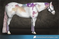 Horse Color:Watercolor White Spotted Liver Red Onyx Splash Tobiano 