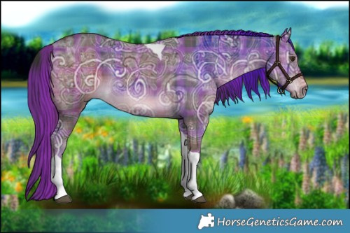 Horse Color:Plaid  Liver Chestnut Ice Tobiano 