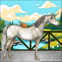 Horse Color:Gray White Spotted Chocolate Palomino Pearl Dun Mushroom Frame Rabicano Brindle 