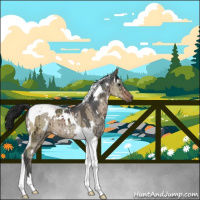 Horse Color:Gray White Spotted Brown Ice Dun Tobiano Brindle 