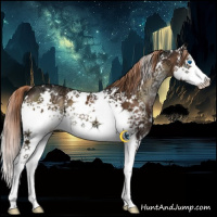 Horse Color:White Spotted Liver Red Onyx Ice Splash Brindle 