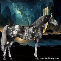 Horse Color:White Spotted Midnight Chocolate Palomino Ice Mushroom