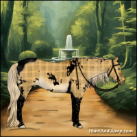 Horse Color:Void Plaid  White Spotted Chocolate Palomino Dun Tobiano Brindle 