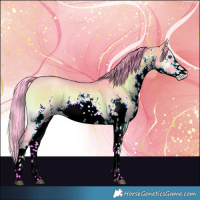 Horse Color:Watercolor White Spotted Liver Red Dun Onyx Sabino 