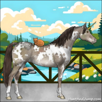Horse Color:White Spotted Liver Red Dun Ice 