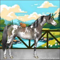 Horse Color:White Spotted Brown Dun Mushroom Sabino Rabicano 