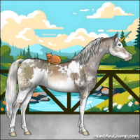 Horse Color:White Spotted Liver Red Dun Mushroom Splash Brindle 