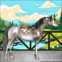 Horse Color:White Spotted Brown Dun Mushroom Sabino Rabicano