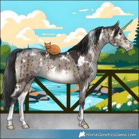 Horse Color:White Spotted Brown Dun Sabino Rabicano Brindle 