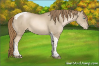 Horse Color:Smoky Black Pearl Mushroom Tobiano 