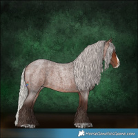 Horse Color:Silver Brown Roan Frame