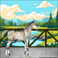 Horse Color:White Spotted Silver Brown Dun Splash Rabicano Brindle 