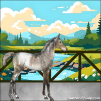 Horse Color:Gray White Spotted Silver Brown Dun Brindle 