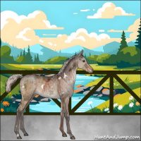 Horse Color:White Spotted Silver Brown Ice Dun Brindle