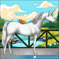 Horse Color:Gray White Spotted Silver Buckskin Pearl Dun Brindle