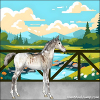 Horse Color:White Spotted Silver Brown Onyx Rabicano Brindle