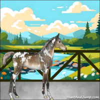 Horse Color:Gray White Spotted Silver Brown Dun Brindle 