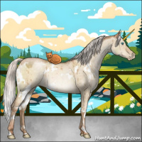 Horse Color:White Spotted Chocolate Silver Buckskin Pearl Dun Brindle