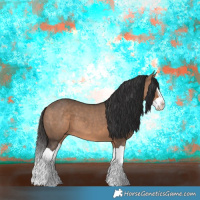 Horse Color:Bay Dun Splash 