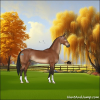 Horse Color:Gray Brown 