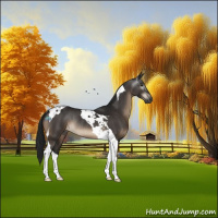 Horse Color:Gray Brown Tobiano Rabicano 
