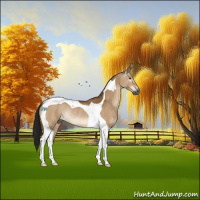 Horse Color:Gray Buckskin Dun Tobiano Rabicano