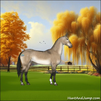 Horse Color:Gray Brown Dun Tobiano Snowflake Varnish
