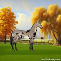 Horse Color:Void White Spotted Brown Dun 