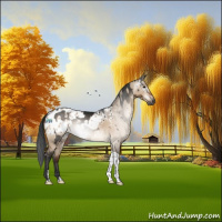 Horse Color:Gray Brown Dun Rabicano  and Brown Dun Tobiano Blanket Rabicano 