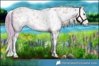 Horse Color:Watercolor Plaid  White Spotted Liver Red Onyx Sabino 
