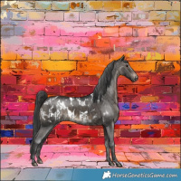 Horse Color:Grullo Brindle  and Brown Dun Blanket Brindle 