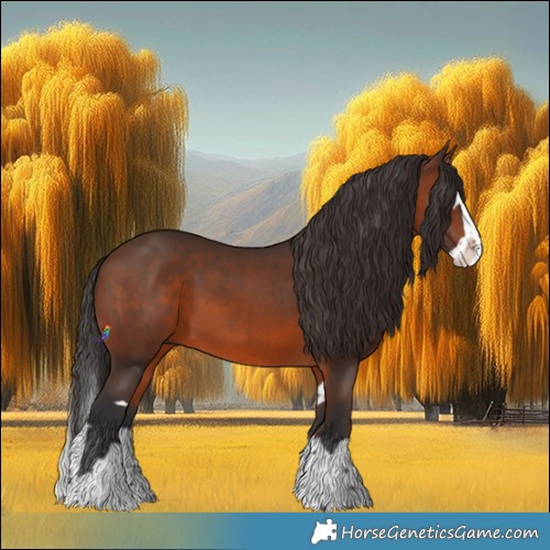 Horse Color:Brown Splash  and Brown Splash 