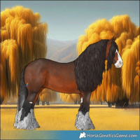 Horse Color:Brown Splash and Brown Splash