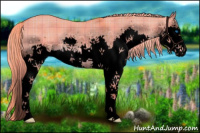 Horse Color:Void Watercolor Plaid  Liver Red Dun Splash 