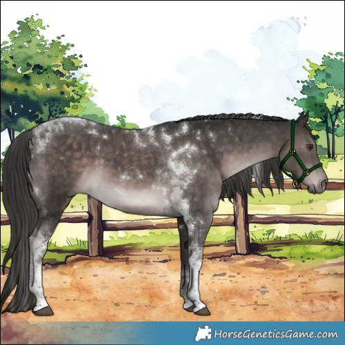 Horse Color:Platinum Liver Chestnut Tobiano Rabicano 