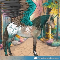 Horse Color:Bay Dun Appaloosa Brindle 