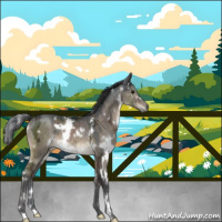 Horse Color:White Spotted Brown Ice Dun Brindle 