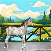 Horse Color:White Spotted Liver Red Dun Ice Sabino Rabicano Brindle 