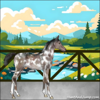 Horse Color:Gray White Spotted Liver Red Dun Ice Brindle 