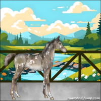 Horse Color:White Spotted Liver Red Dun Ice Rabicano 