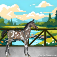 Horse Color:White Spotted Brown Ice Dun Brindle 
