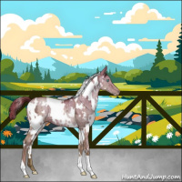 Horse Color:White Spotted Brown Ice Pearl Dun Brindle 