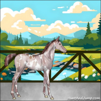 Horse Color:White Spotted Brown Ice Pearl Dun 