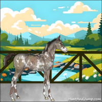 Horse Color:White Spotted Liver Red Dun Ice Sabino Brindle 